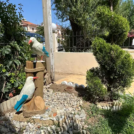 Mezoneta With Amazing View By The Sea * Nikiti (Sithonia)