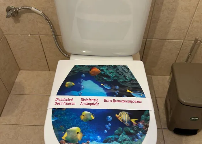 Cozy Blu ניקיטי