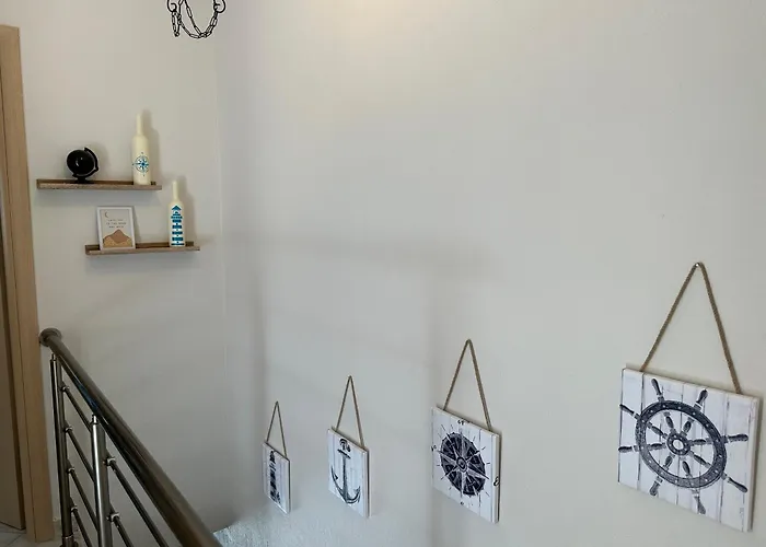 Cozy Blu ניקיטי