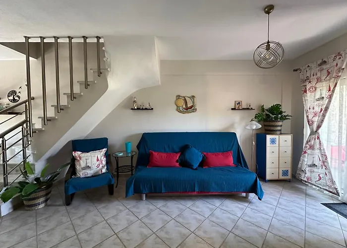 Cozy Blu ניקיטי