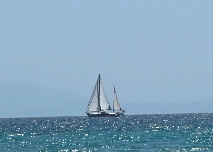 Cozy Blu * ניקיטי