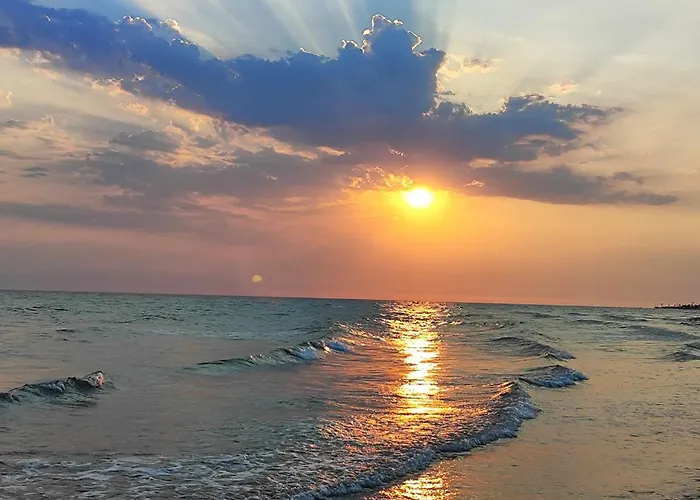 Cozy Blu ניקיטי