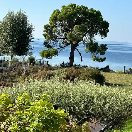 Cozy Blu Dom wakacyjny Nikiti (Sithonia)